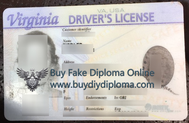 Virginia driver's license