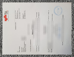 Graz University of Technology diploma sample