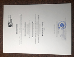 TU Wien diploma sample