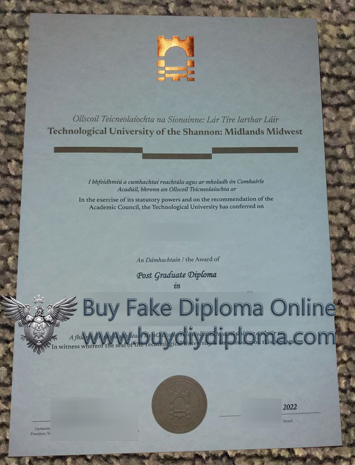 Technological University Of The Shannon Diploma