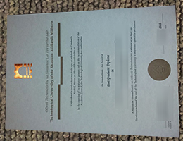 Technological University Of The Shannon Diploma certificate