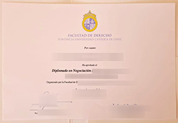UC Chile diploma certificate