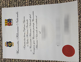 UCC Diploma sample