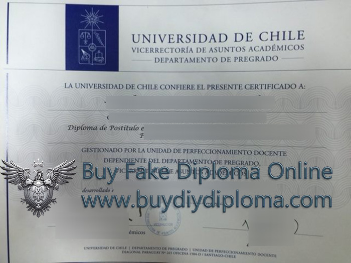 Universidad de Chile diploma