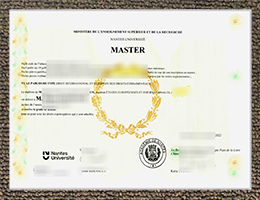 Université De Nantes Diploma certificate