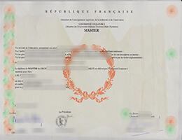 Université Toulouse 1 diploma