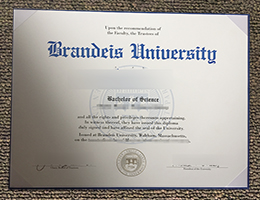Brandeis University diploma