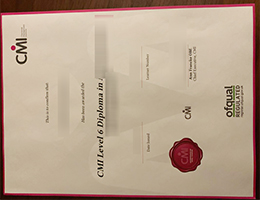 CMI Level 6 Diploma sample