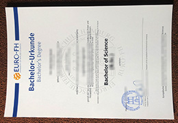 Europäische Fernhochschule Hamburg diploma, Euro-FH Urkunde sample