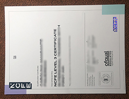 NCFE Level 3 Certificate