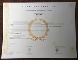 Sorbonne Université master's degree certificate