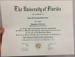 University Of Florida Diploma certificate