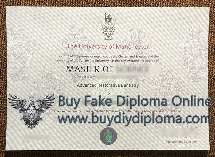 University Of Manchester Degree