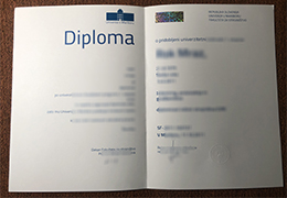 Univerza v Mariboru diploma certificate