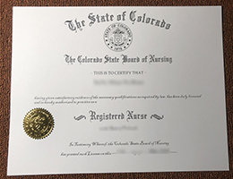 Colorado State Board of Nursing Certificate in Registered Nurse sample