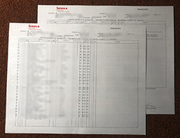 Seneca College transcript sample