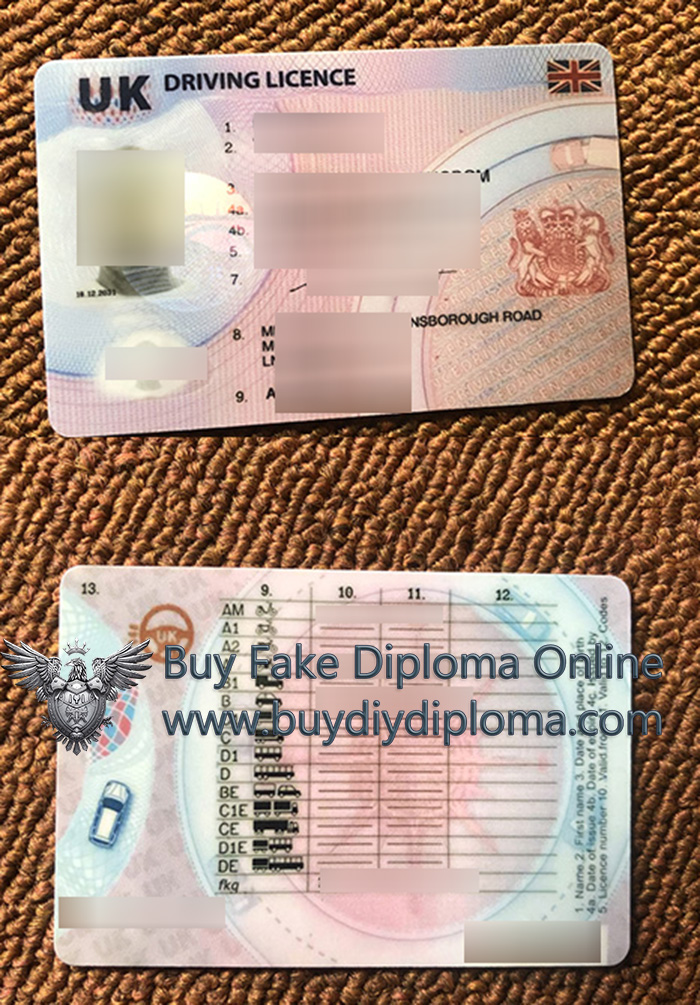 UK Driving Licence sample