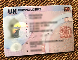 UK Driving Licence