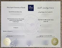 USEK diploma certificate