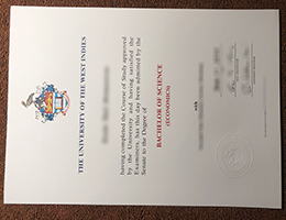 UWI BSc diploma