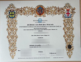 University of Modena and Reggio Emilia degree