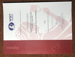 Wset diploma