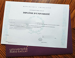 université paris-saclay diploma sample