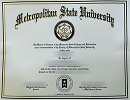 Metro State Degree Certificate