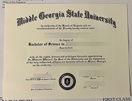 Middle Georgia State University diploma certificate
