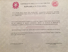Università degli Studi di Verona diploma certificate