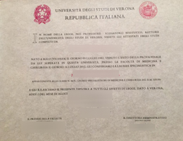 Università degli Studi di Verona diploma certificate