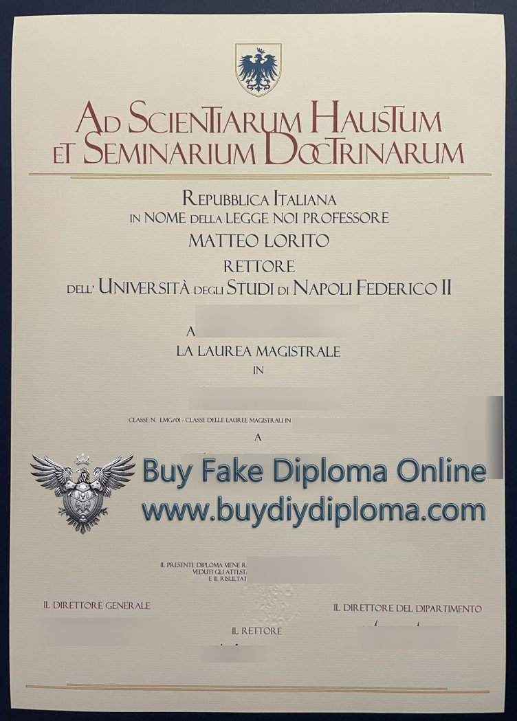 University of Naples Federico II diploma