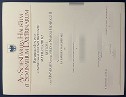 University of Naples Federico II diploma certificate