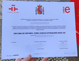 DELE B2 diploma certificate