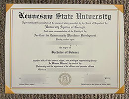 KSU BSc degree, Kennesaw State University diploma