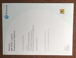 PEARSON SRF BTEC Level 5 Professional Diploma certificate