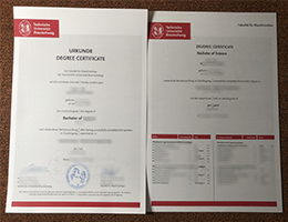 Technische Universität Braunschweig Urkunde and Zeugnis sample