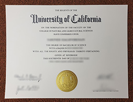 UC Riverside diploma sample