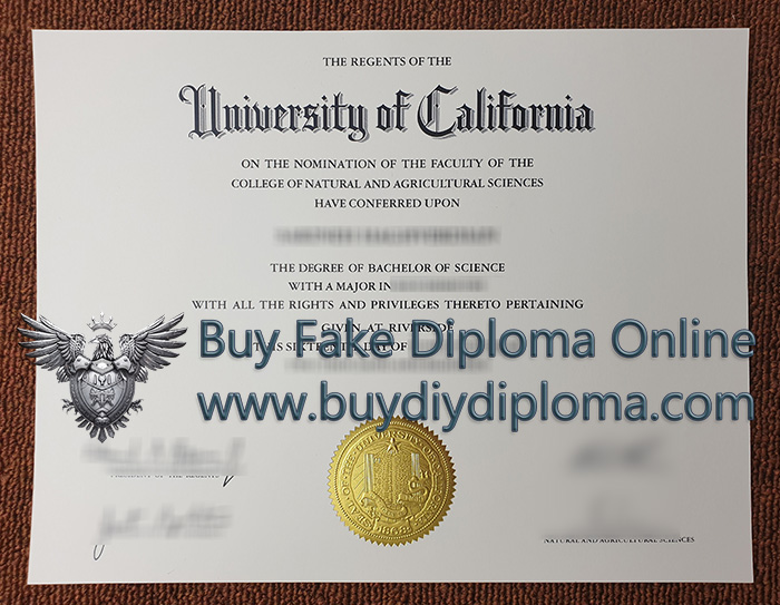 UC Riverside diploma