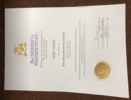 UWO BSc diploma, Western University degree