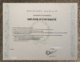 Aix-Marseille University Diploma Certificate