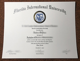 Florida International University Diploma