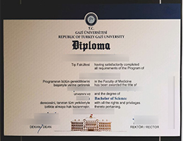 Gazi University diploma certificate