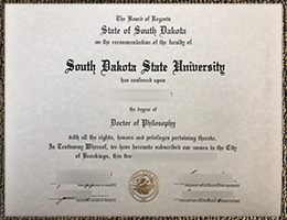 SD State diploma