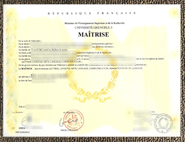 Université Grenoble 3 diploma