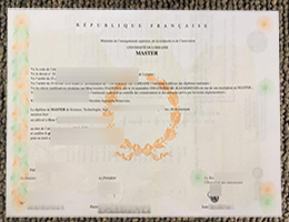 Université de Lorraine diploma certificate