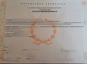 Université de Paris Licence