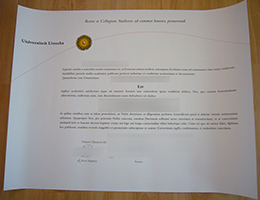 Universiteit Utrecht diploma certificate