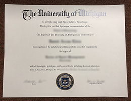University of Michigan Diploma