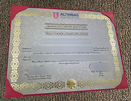 Altinbas University diploma